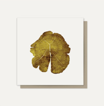 Greeting Cards - Cut Wood Range