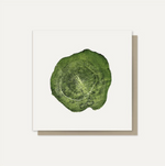 Greeting Cards - Cut Wood Range