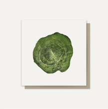 Greeting Cards - Cut Wood Range
