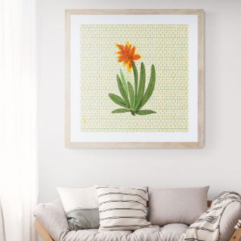 Framed Art Print - ORANGE SUCCULENTS