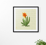 Framed Art Print - ORANGE SUCCULENTS