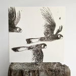 Original Bird Etching Print Greeting Cards with Envelopes