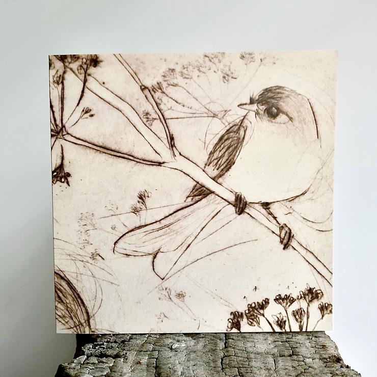 Original Bird Etching Print Greeting Cards with Envelopes