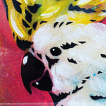 Stencil & Spraypaint Original Artwork - Bird Series - COCKATOO