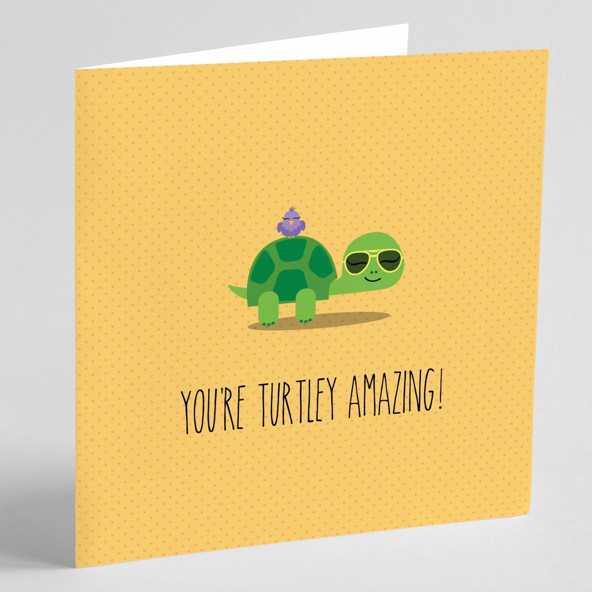Quirky Novelty Greeting Cards with Envelopes
