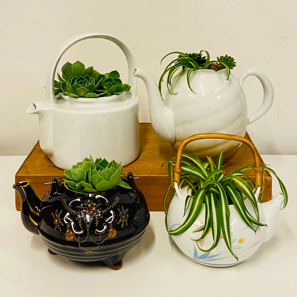 Planted OOAK Tea Pots & Jugs