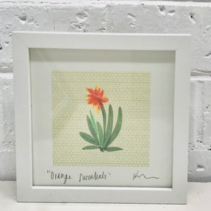 Framed Art Print - ORANGE SUCCULENTS