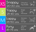 Pet collar - Pony (LARGE 45-75cm)
