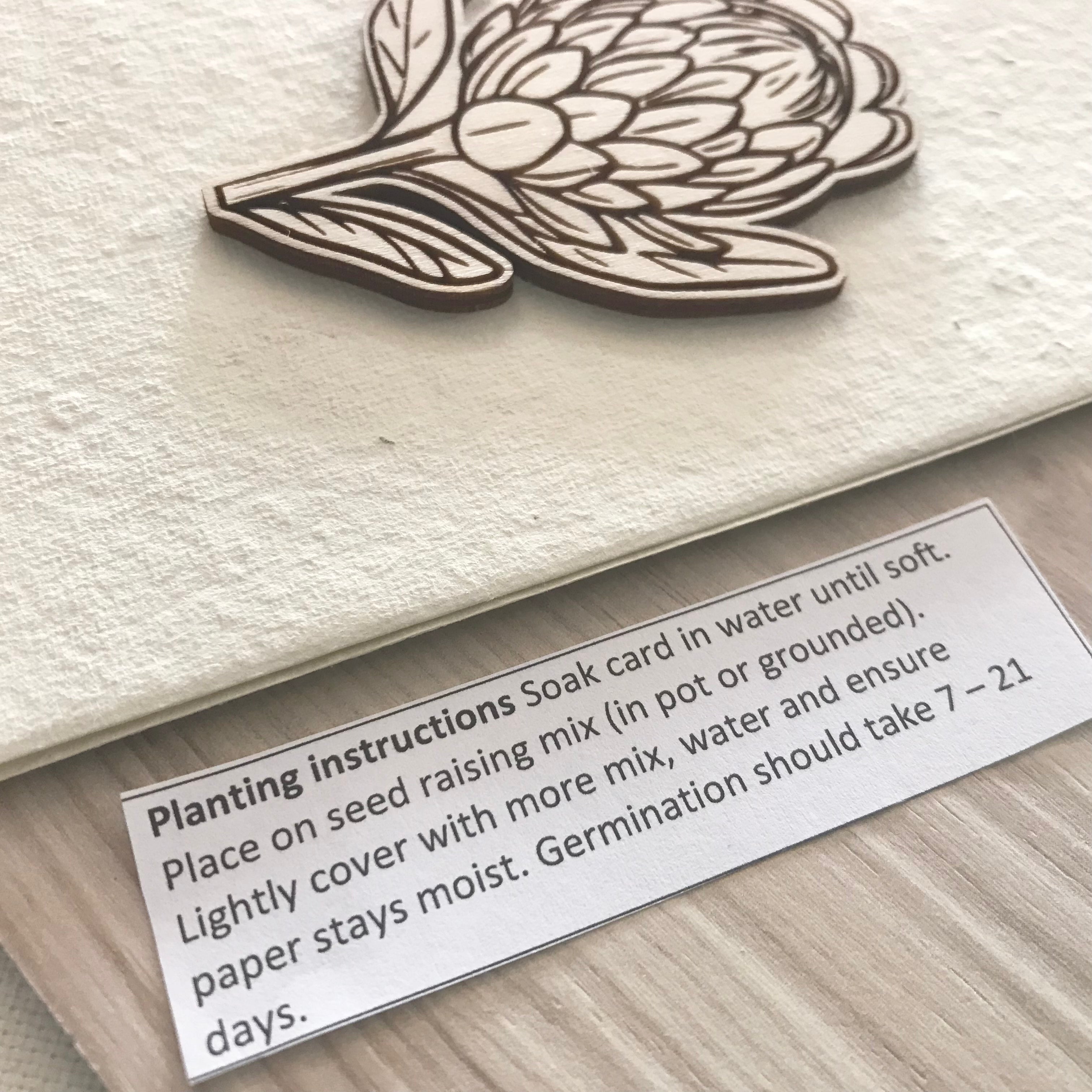 Seed cards with various wooden art