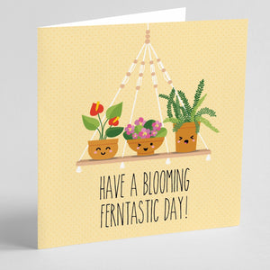 Quirky Novelty Greeting Cards with Envelopes