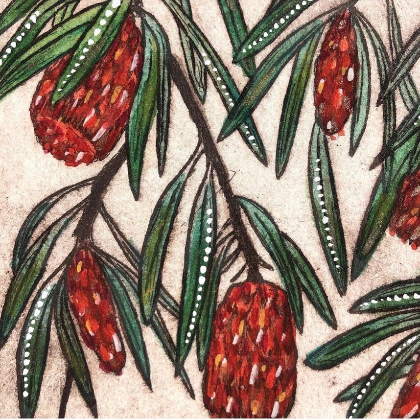 Original Art Print Coaster Set of 6 - Australian Botanical