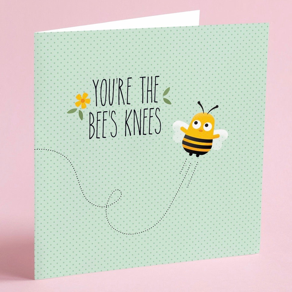 Quirky Novelty Greeting Cards with Envelopes