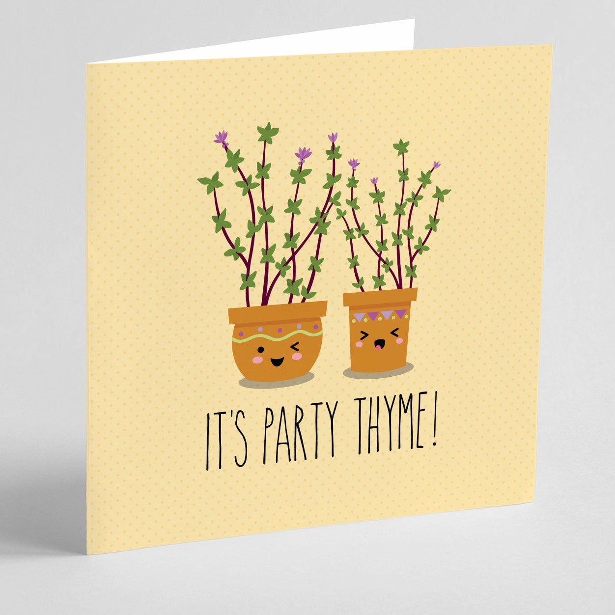 Quirky Novelty Greeting Cards with Envelopes