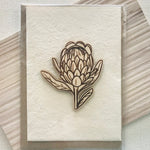 Seed cards with various wooden art